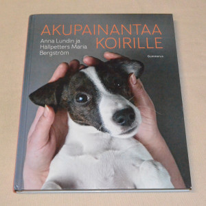 Akupainantaa koirille